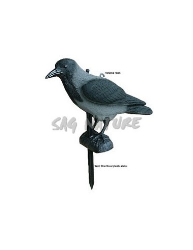 Cornacchia (gambe - Asta) -...
