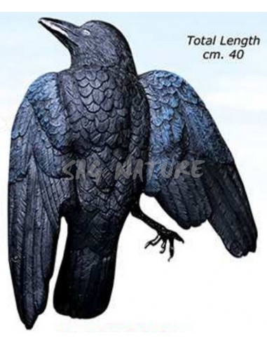 Dead Crow - 2 Piece Pack - SPORT PLAST
