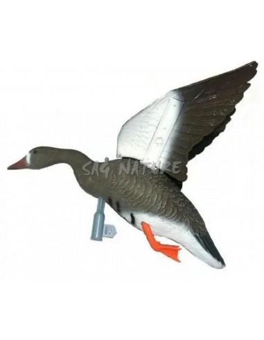 Oca Lombardella In Volo - SPORT PLAST