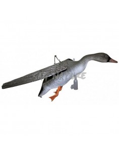 Granary Goose In Flight -...