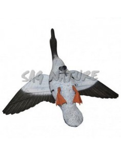 Granary Goose In Flight -... 2