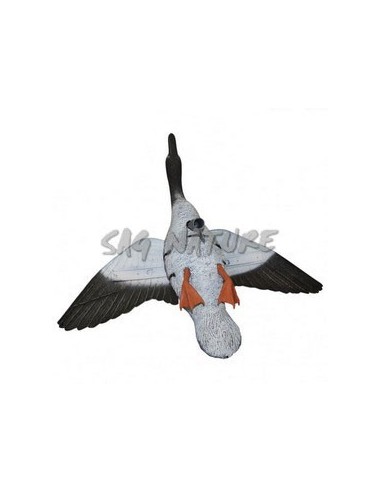 Granary Goose In Flight - SPORT PLAST