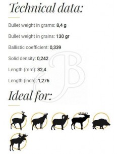 Fox Classic Hunter Bullets... 2
