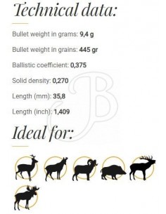 Fox Classic Hunter Bullets... 2