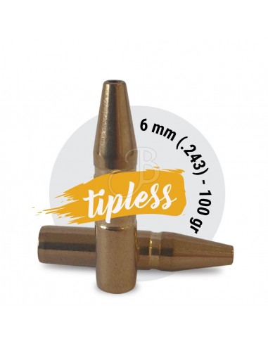Balles Fox Classic Hunter 6mm (.243)...