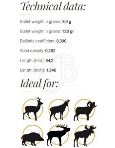 Fox Classic Hunter Bullets... 2