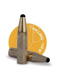 Fox Classic Hunter Bullets...