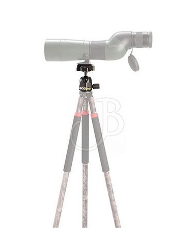 Adaptador de cámara estándar Sca -...