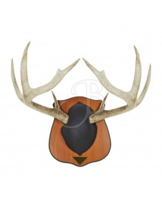 Heirloom Trophy Holder - ALLEN 2