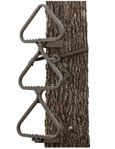 Pasos del árbol Pasos...