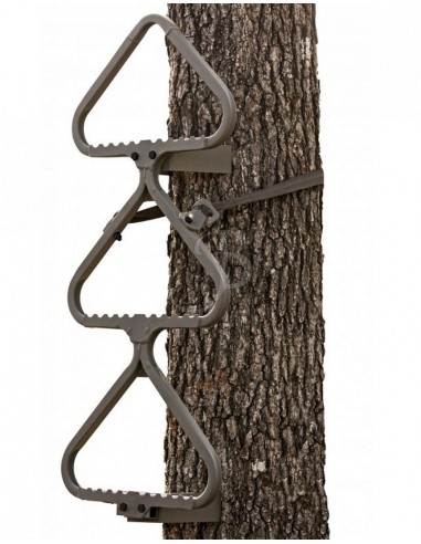 Étapes de l'arbre Étapes rapides -...