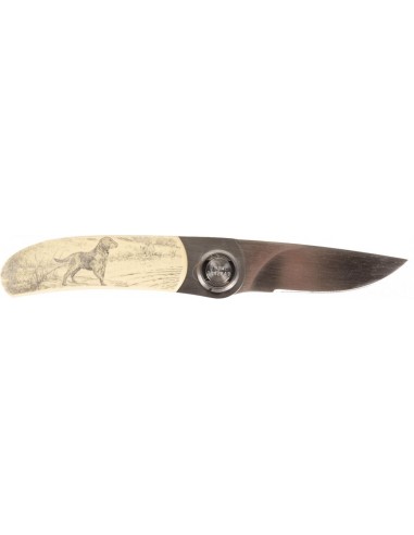 Paul Knife Scrimshaw 2pm - 8009 - GERBER