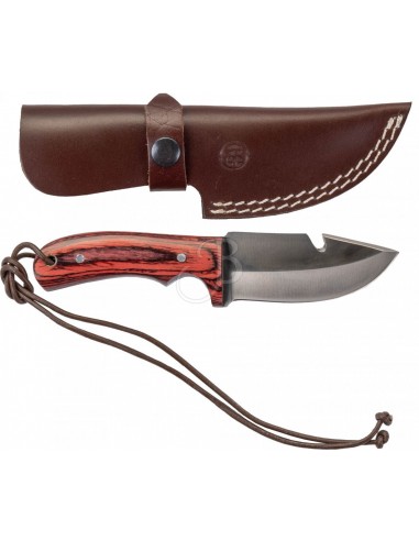 Coltello Skinner 18.5cm - Legno -...