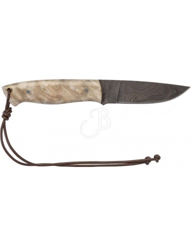 Coltello Skinner 22.5cm - Marble -...