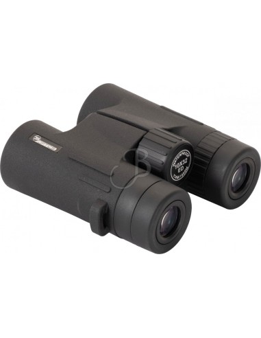 Binoculars 10x32 Ed - black - 39OPTICS