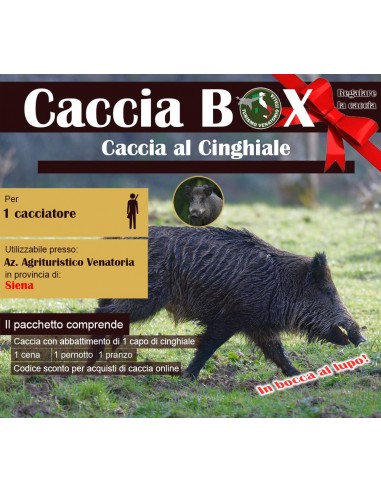 TOSCANA SIENA – CACCIA AL CINGHIALE –...