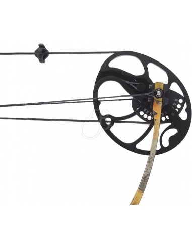 Arco Compound Xt 31.1 Rts 19-30' 70...