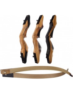 Arco Td Gecko Flettenti...