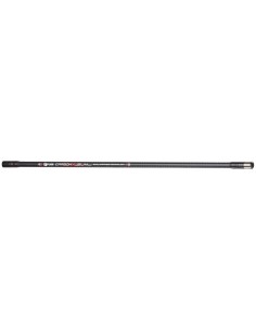 Stabilizzatore Carbon X...