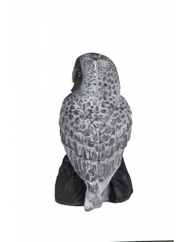3d Barn Owl Silhouette - A.A.