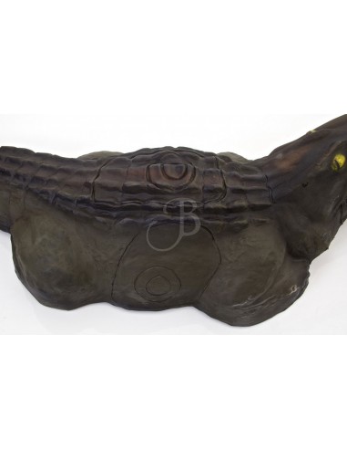 Sagoma 3d Caimano - A.A.