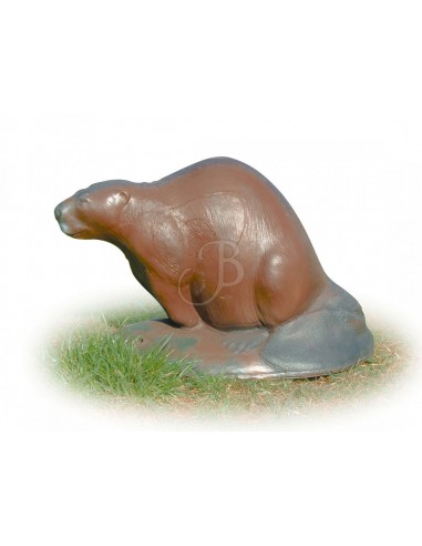 Sagoma 3d Castoro - A.A.