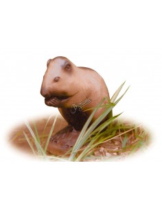 Sagoma 3d Nutria - A.A.