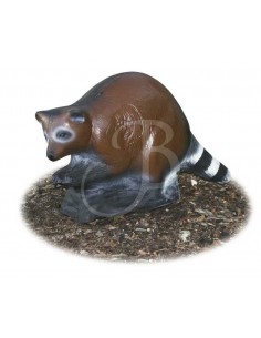 Sagoma 3d Procione - A.A.