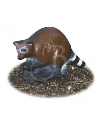 Sagoma 3d Procione - A.A.