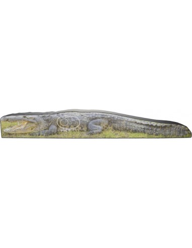Mft 2d Photo Crocodile 17cm - BOOSTER
