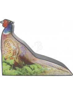 Mft 2d Photo Pheasant 17cm...