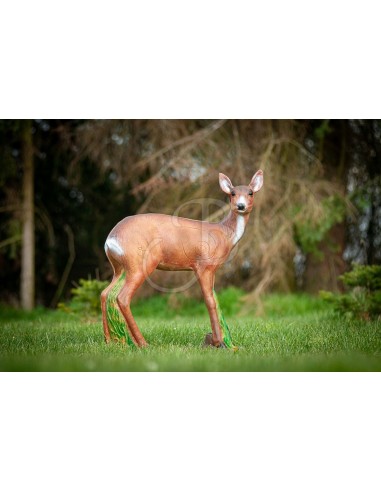 3d Roe Deer Silhouette - C.POINT