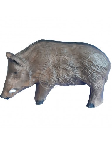 Sagoma 3d Cinghiale Femmina - C.POINT