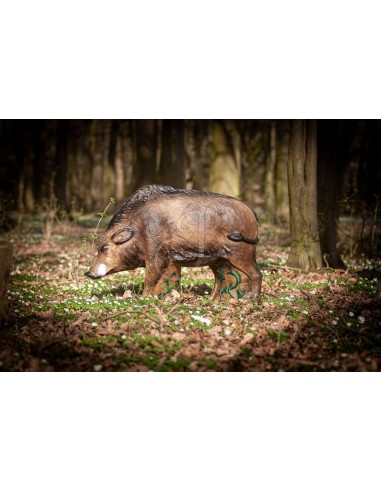 Sagoma 3d Cinghiale Grande - C.POINT