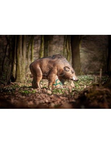 Sagoma 3d Cinghiale Grande - C.POINT