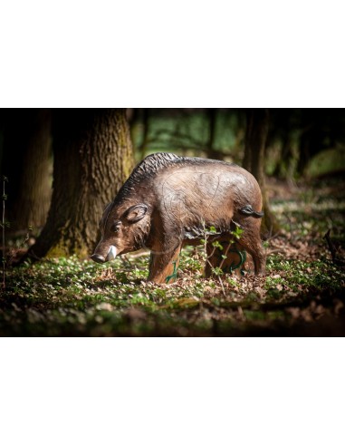 3d Silhouette Big Boar - C.POINT