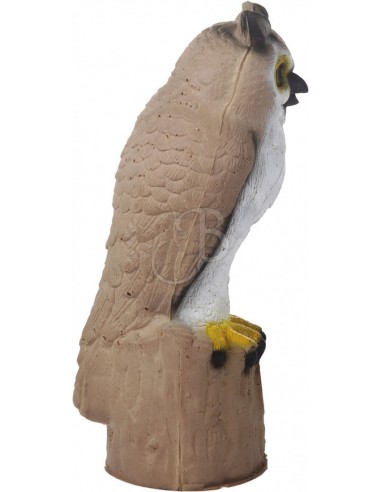3d Owl Silhouette - C.POINT