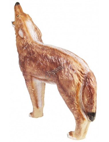 3d Coyote Silhouette - C.POINT