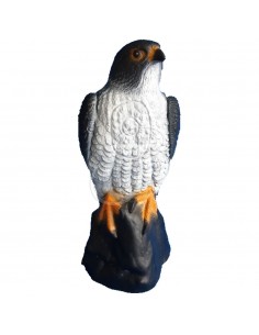 3d Falcon Silhouette - C.POINT