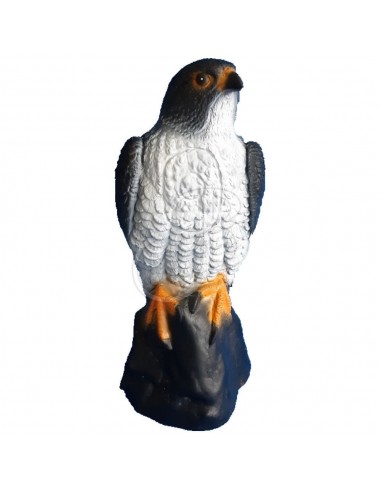3d Falcon Silhouette - C.POINT