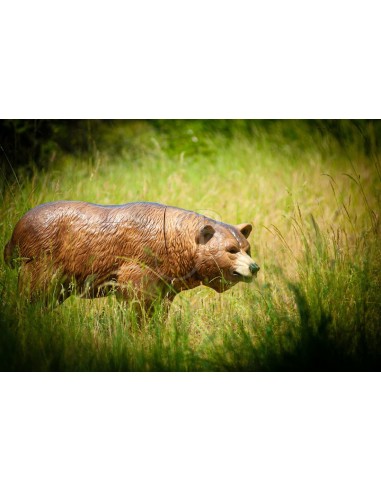 3d Grizzly Silhouette - C.POINT