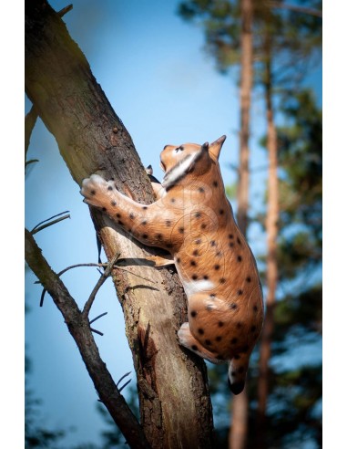 3d Silhouette Lynx Climbing - C.POINT