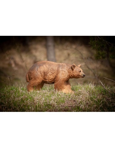 3d Brown Bear Silhouette - C.POINT