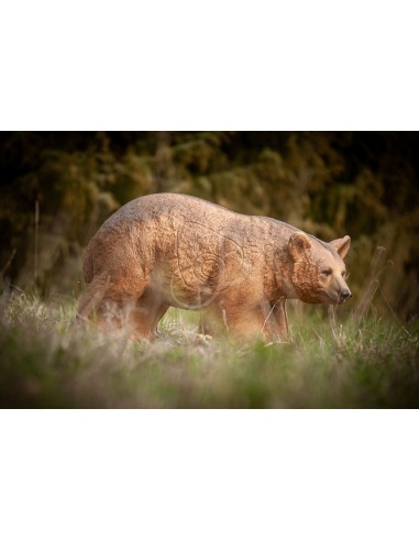 3d Brown Bear Silhouette - C.POINT