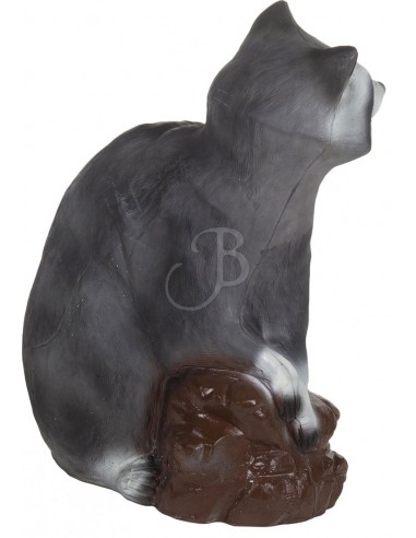 3d Raccoon Silhouette - C.POINT