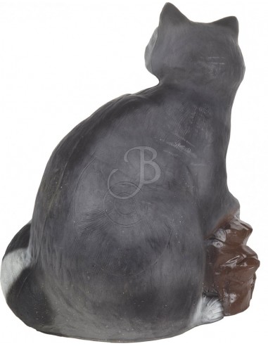 3d Raccoon Silhouette - C.POINT