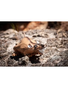 Sagoma 3d Ratto - C.POINT 2