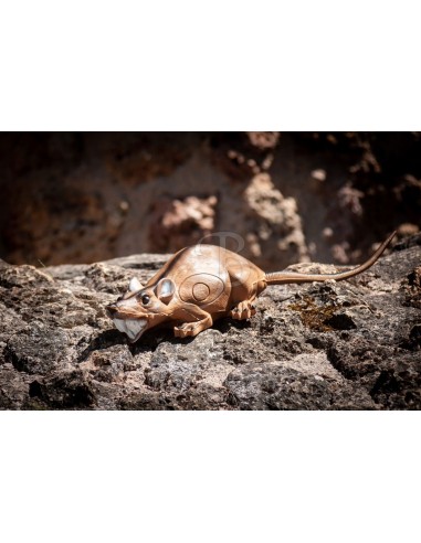 Sagoma 3d Ratto - C.POINT