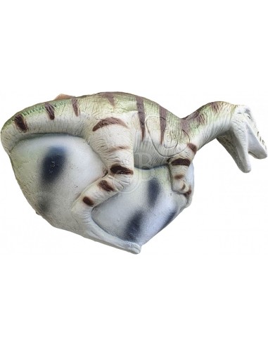 Eleven 3d Baby Dinosaur Silhouette -...