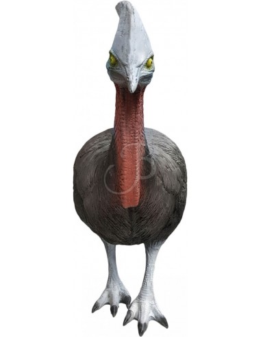 Eleven 3d Silhouette Cassowary -...
